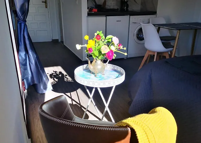 Sunny Studio La Mata Beach